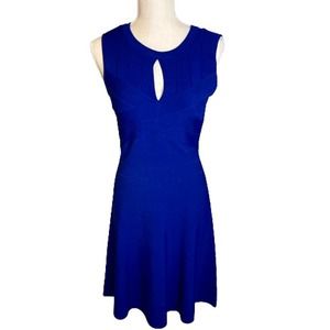 Adrianna Papell Blue Sleeveless Sheath Dress, M